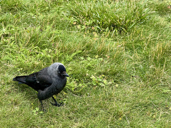 Similar image 22292106