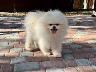 Similar image 22292117