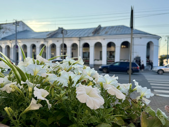 Similar image 22292119