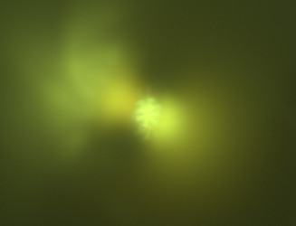 Similar image 22296005