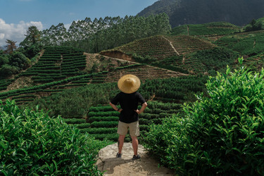 Similar image 22293440