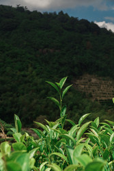 Similar image 22293441