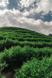 Similar image 22293442