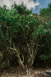 Similar image 22293496