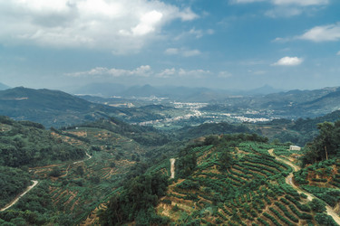 Similar image 22293497