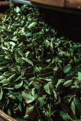 Similar image 22293714