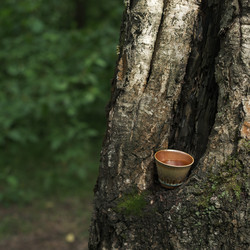 Similar image 22328807