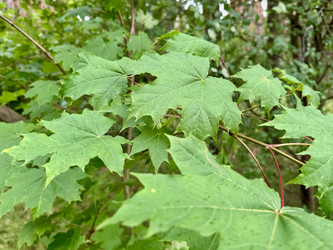 Similar image 22292128