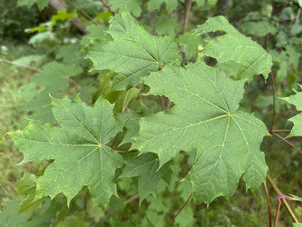 Similar image 22292136