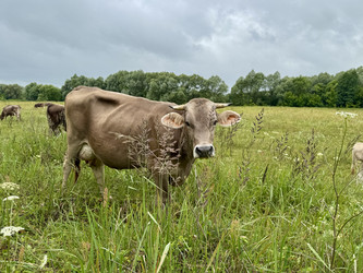 Similar image 22292137