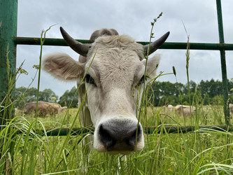 Similar image 22292139