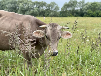 Similar image 22292140