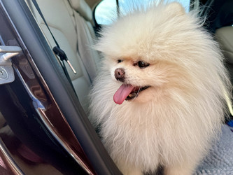 Similar image 22292143