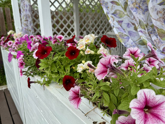 Similar image 22292148