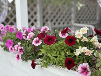 Similar image 22292149