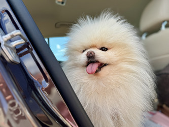 Similar image 22292344