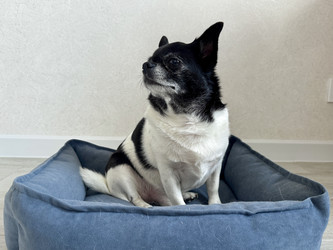 Similar image 22292351