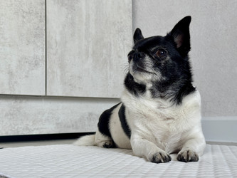 Similar image 22292352