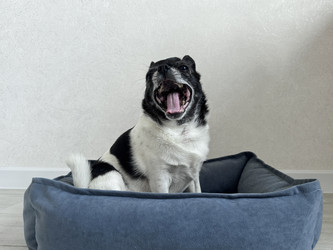 Similar image 22292353