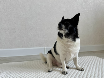 Similar image 22292366