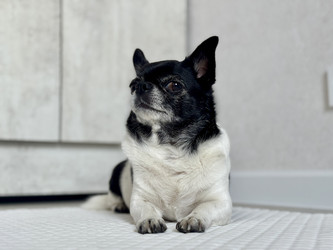 Similar image 22292367