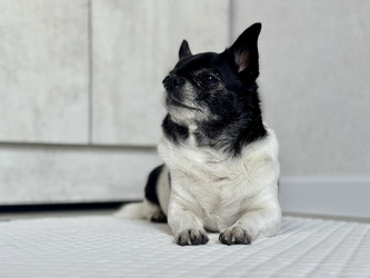 Similar image 22292368