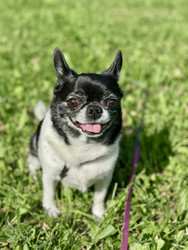 Similar image 22292371