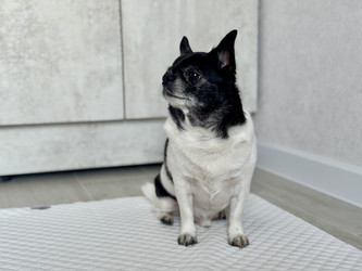 Similar image 22292372