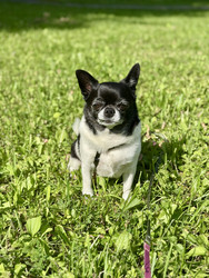 Similar image 22292373