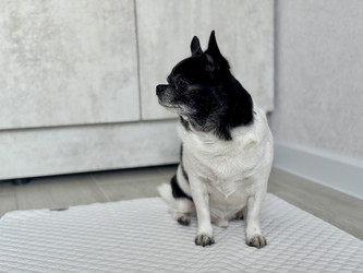 Similar image 22292374