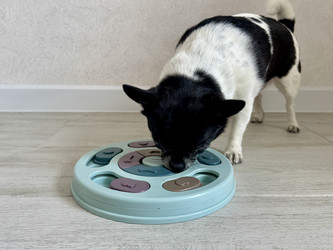 Similar image 22292154