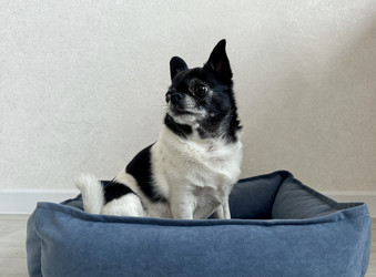 Similar image 22292156