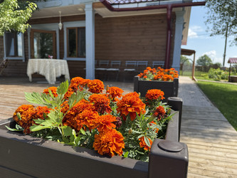 Similar image 22292158