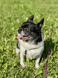 Similar image 22292160