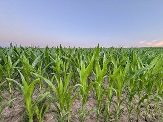 Similar image 22292162