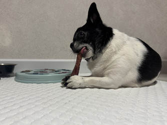 Similar image 22292165