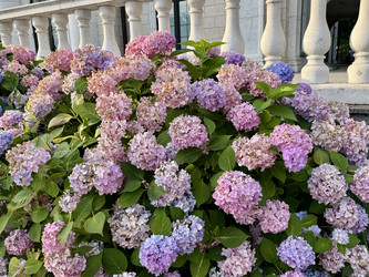 Similar image 22292171