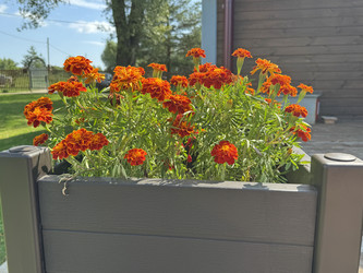 Similar image 22292176