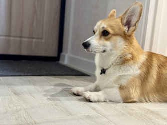 Similar image 22292190