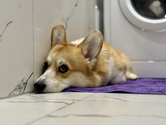 Similar image 22292192