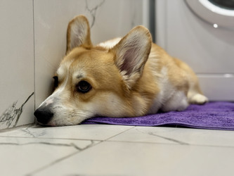 Similar image 22292193