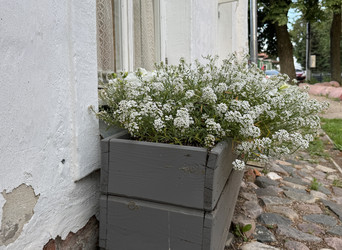 Similar image 22292201