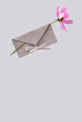 Similar image 22322037