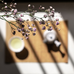 Similar image 22331163