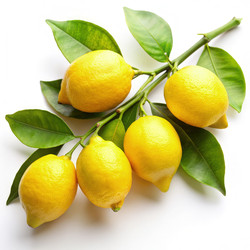 Similar image 22299782