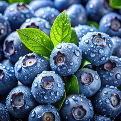 Similar image 22300016