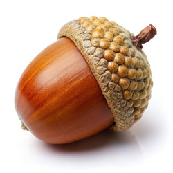 Similar image 22300021