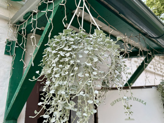 Similar image 22291761