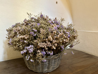 Similar image 22292039