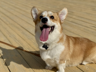 Similar image 22292042